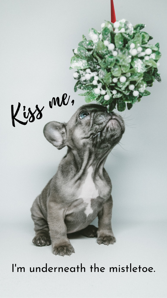 Kiss me, I'm underneath the mistletoe. Instagram Story Template