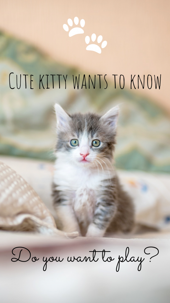 Cute kitty wants to know Do you want to play? Instagram Story Template