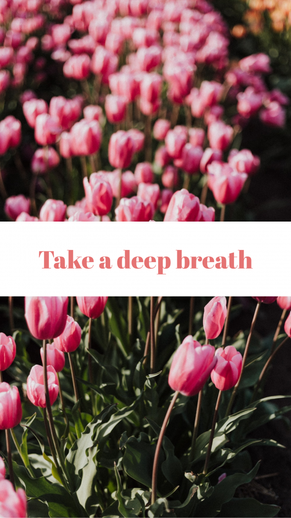 Take a deep breath Instagram Story Template